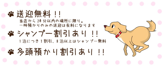 パピー＆キティー中川店